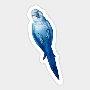 Playful Blue Spix Sticker